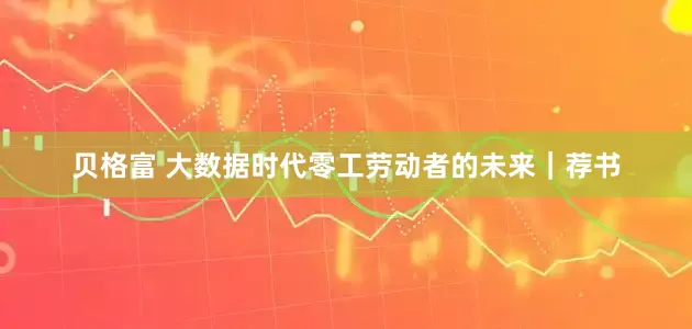 贝格富 大数据时代零工劳动者的未来｜荐书