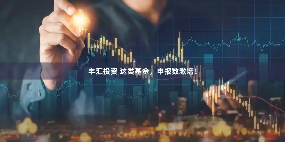 丰汇投资 这类基金，申报数激增！