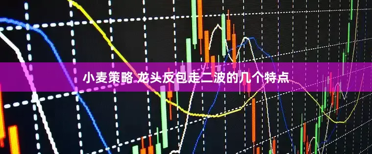 小麦策略 龙头反包走二波的几个特点