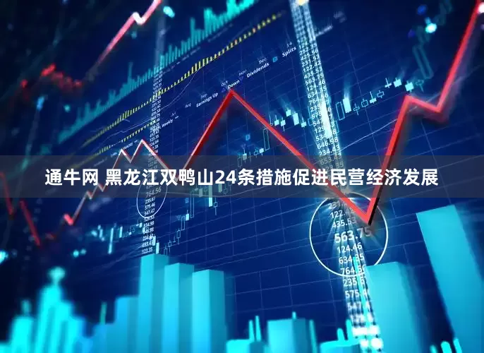 通牛网 黑龙江双鸭山24条措施促进民营经济发展