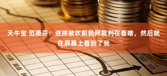 天牛宝 范德芬：进球被吹前我问裁判在看啥，然后就在屏幕上看到了我